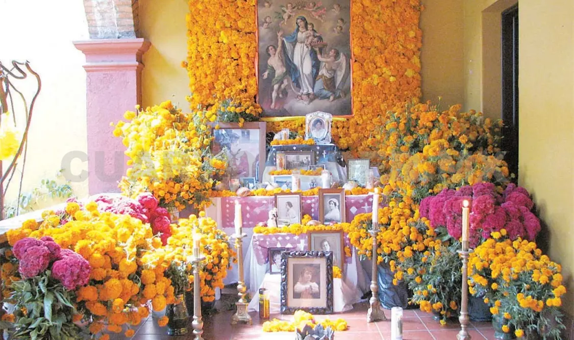 Prevén aumento de visitantes