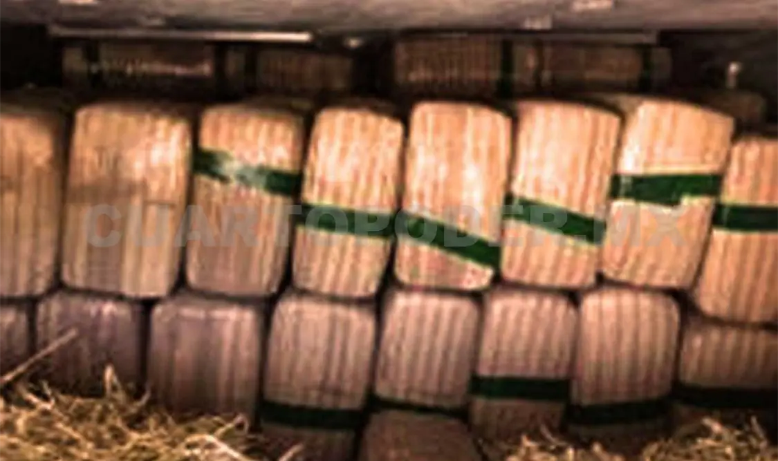 Hallan marihuana oculta en pacas