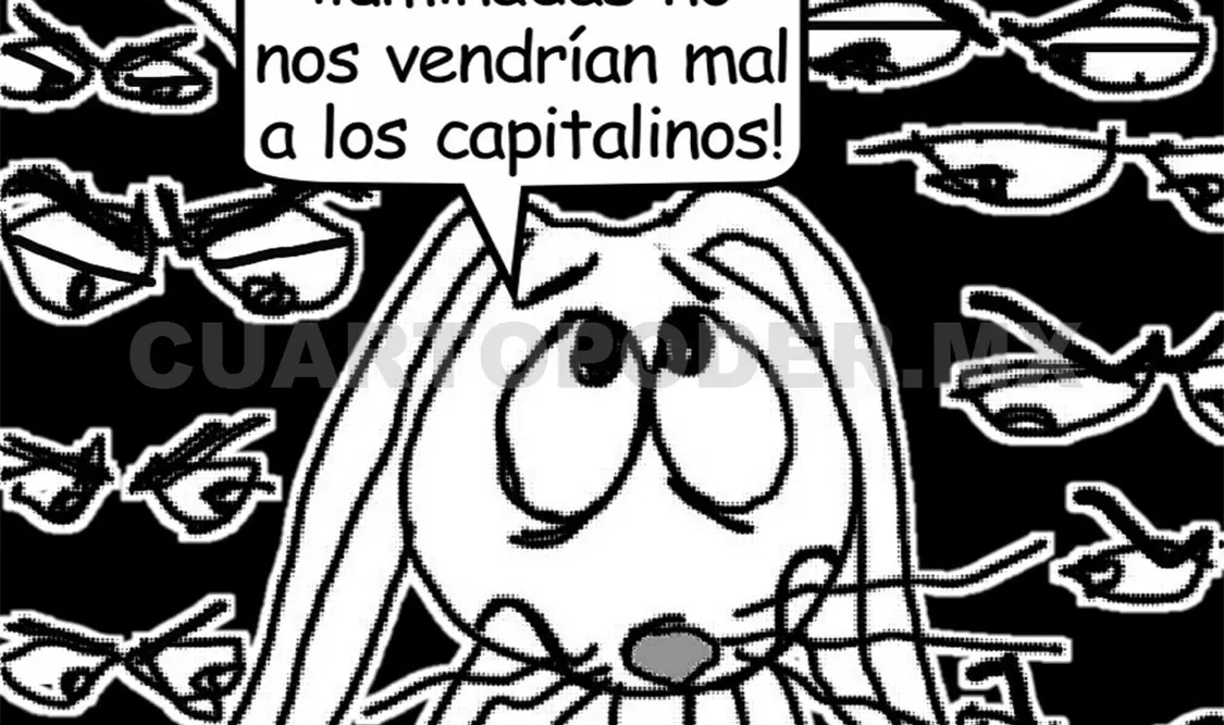 Ciudades