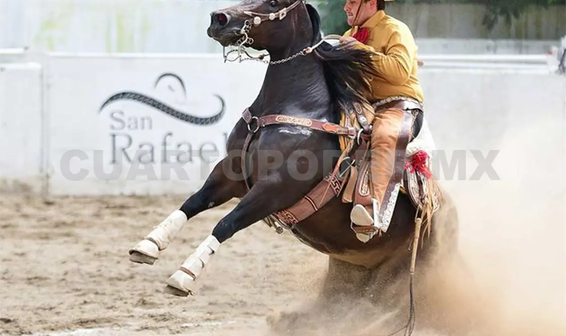 Gustavo se estrena como coleador