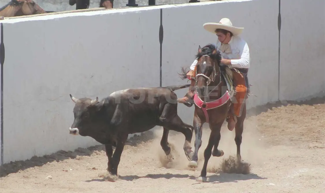 Se contempla la participación de 18 equipos. Cada agrupación presentará yeguas de manganas y jineteo que se pondrán correr de 8:00 a 9:00 horas. Cortesía