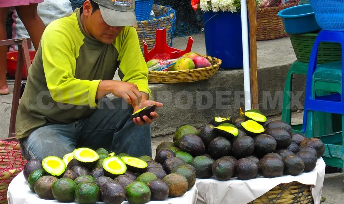 Cebolla y aguacate, con mayor variación