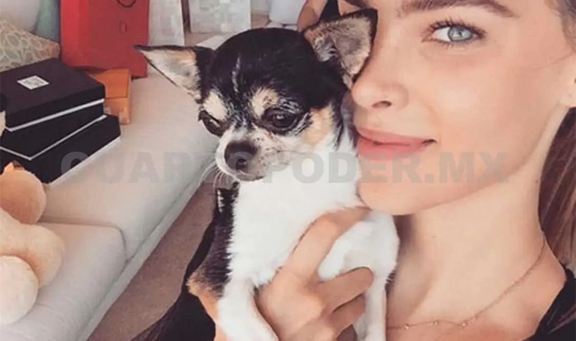 Belinda está triste por su perrito