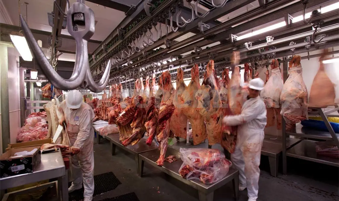 Repoblarán hato ganadero del país