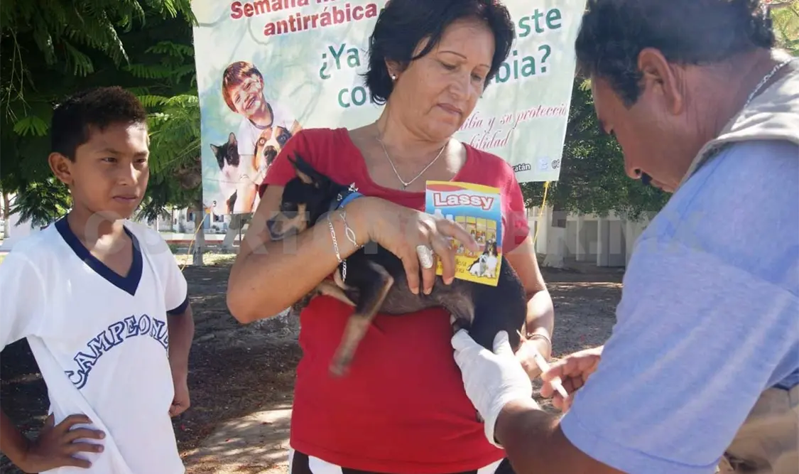 El objetivo es diminuir la cantidad de especies abandonadas en las calles. CP