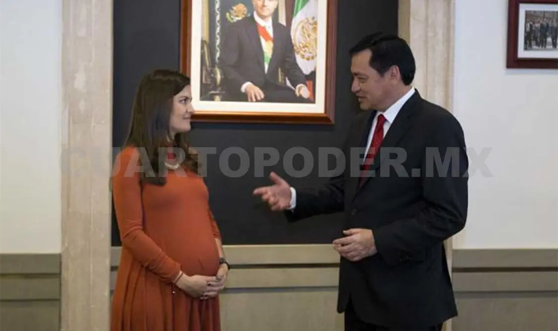 Alexandra Haas, nueva titular del Conapred