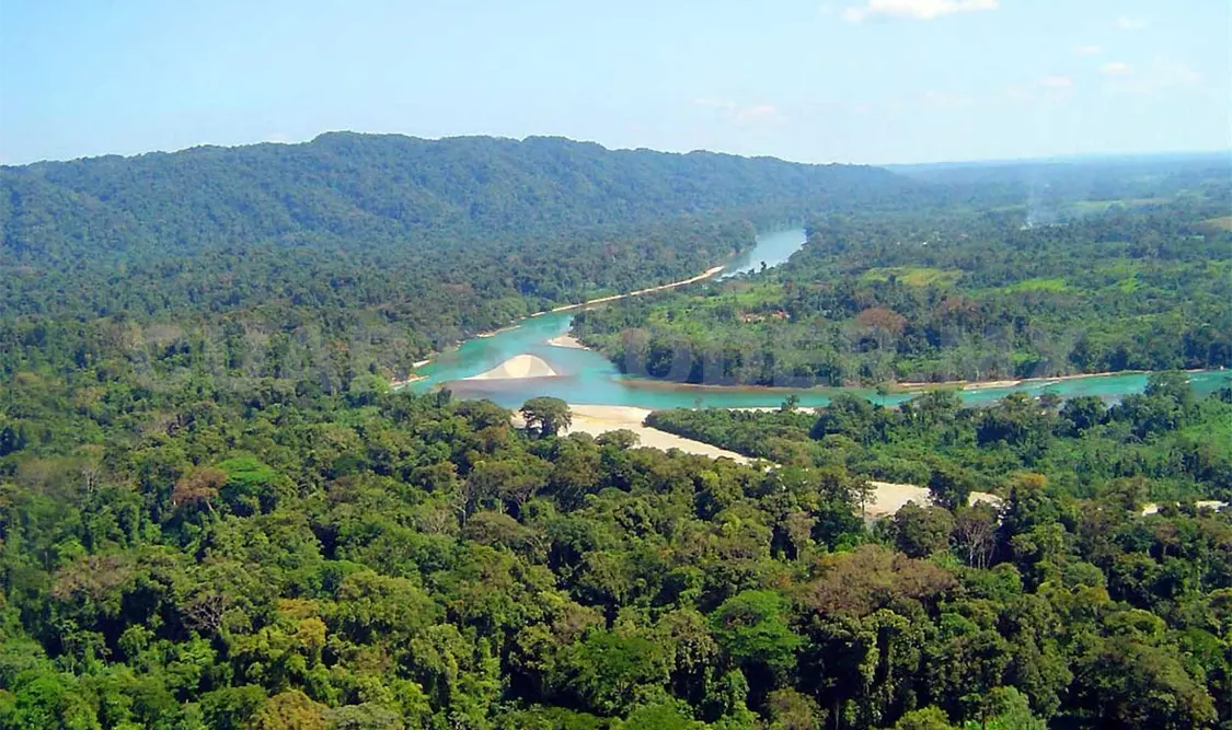 Realizan foro sobre áreas naturales