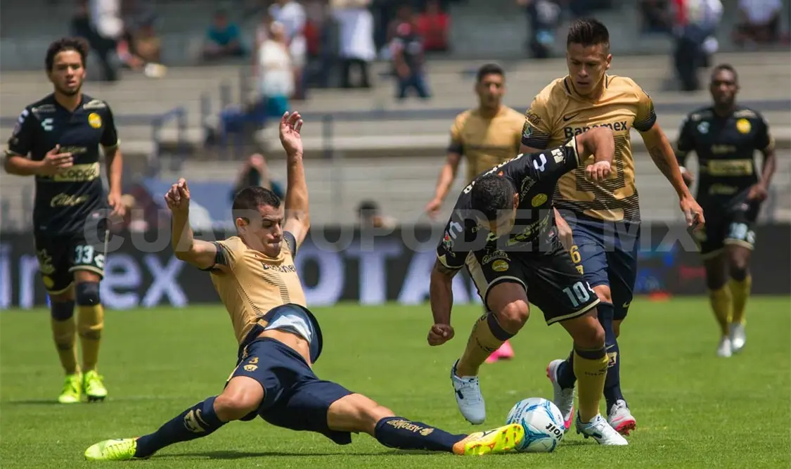 Alcoba descarta equipos favoritos