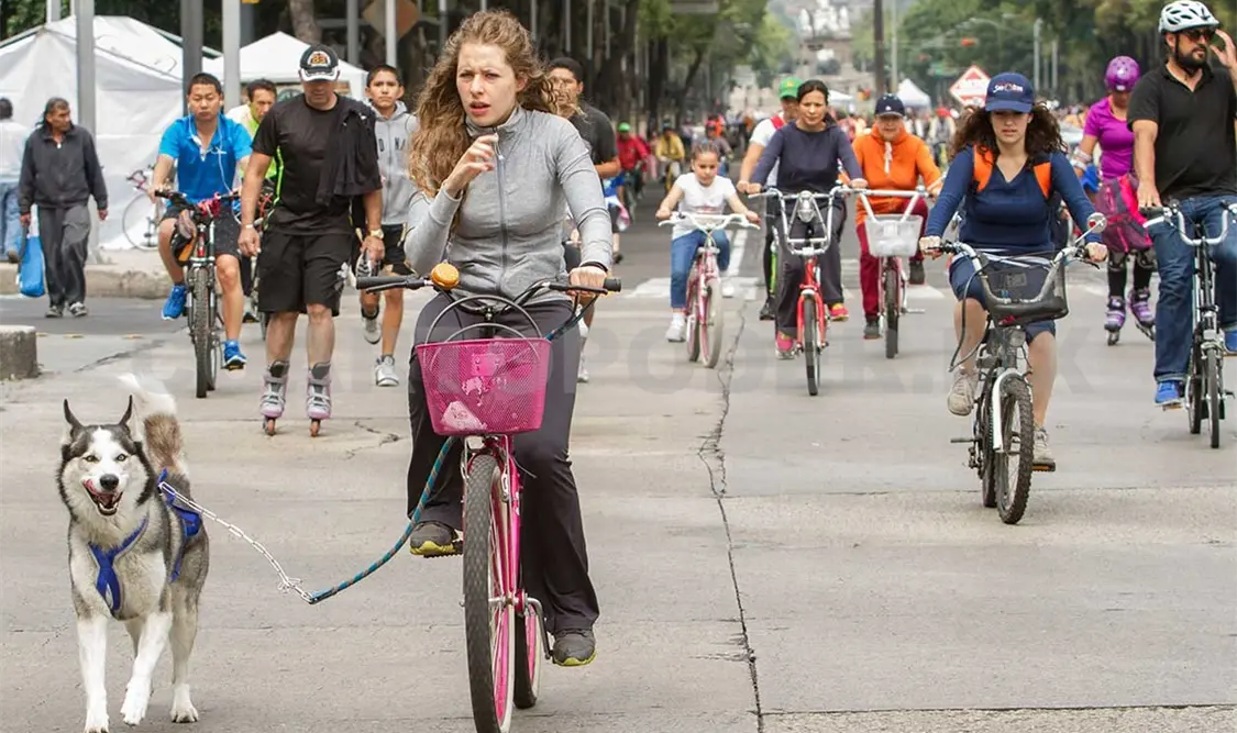 El objetivo es mejorar la infraestructura ciclista y peatonal. Agencias