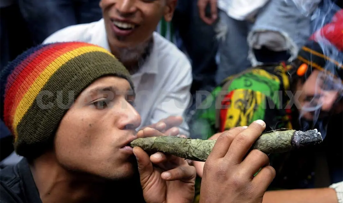 Es preocupante que se legalice la marihuana y no estemos preparados, dice Hernández. Agencias