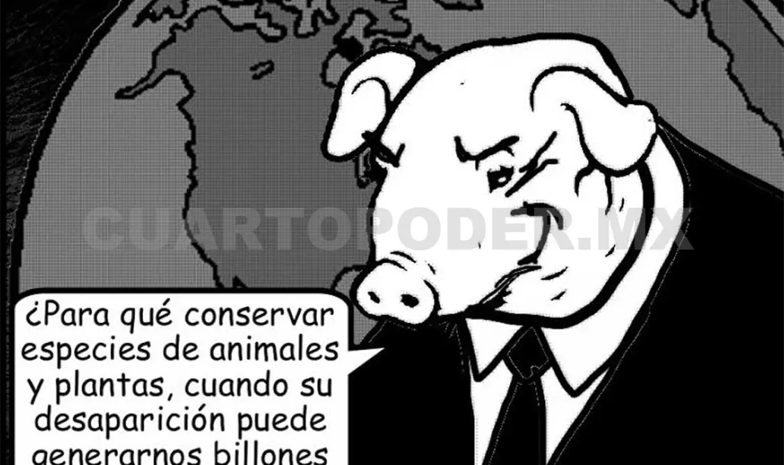 COP 21