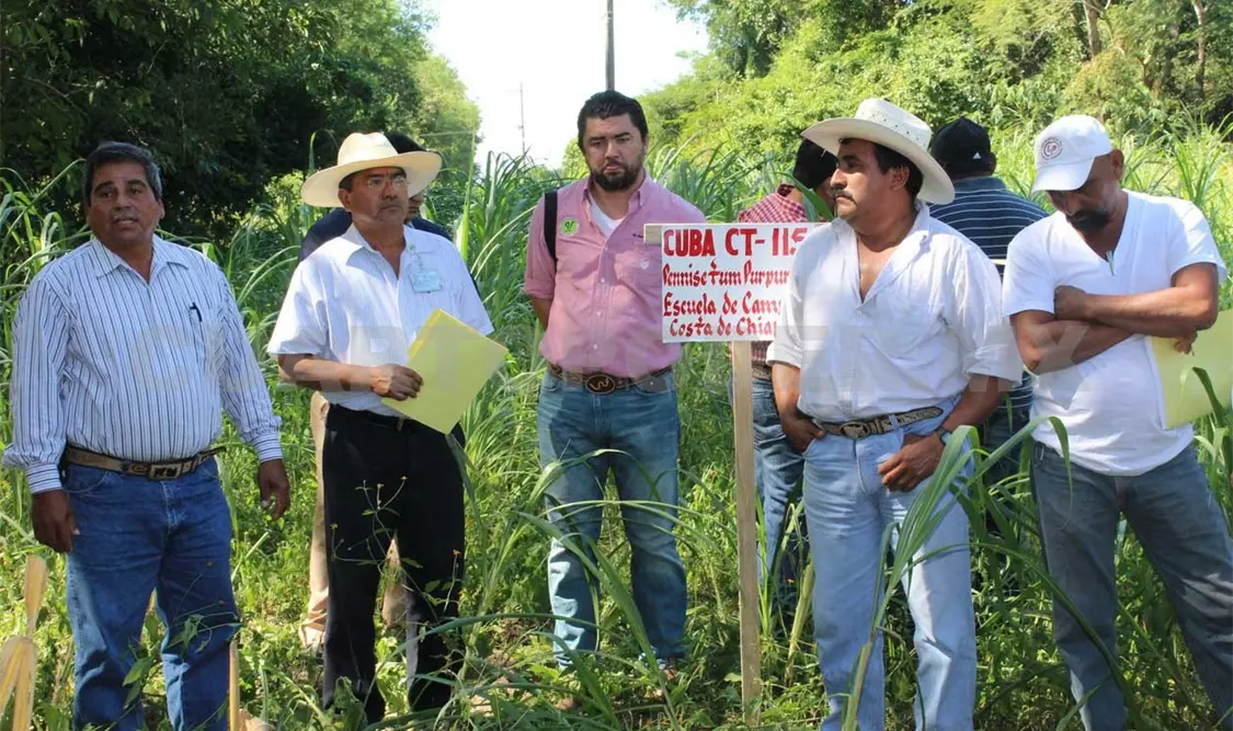Con esta técnificación los ganaderos de la región tendrán mayores oportunidades de producción. Noel Vázquez / CP