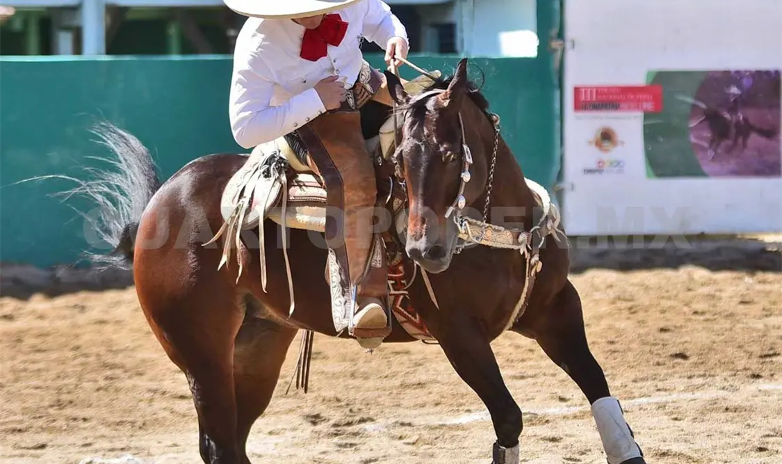 Excelentes charreadas se registraron el domingo en el lienzo Esteban Figueroa Burguete de Tuxtla Gutiérrez. Cortesía