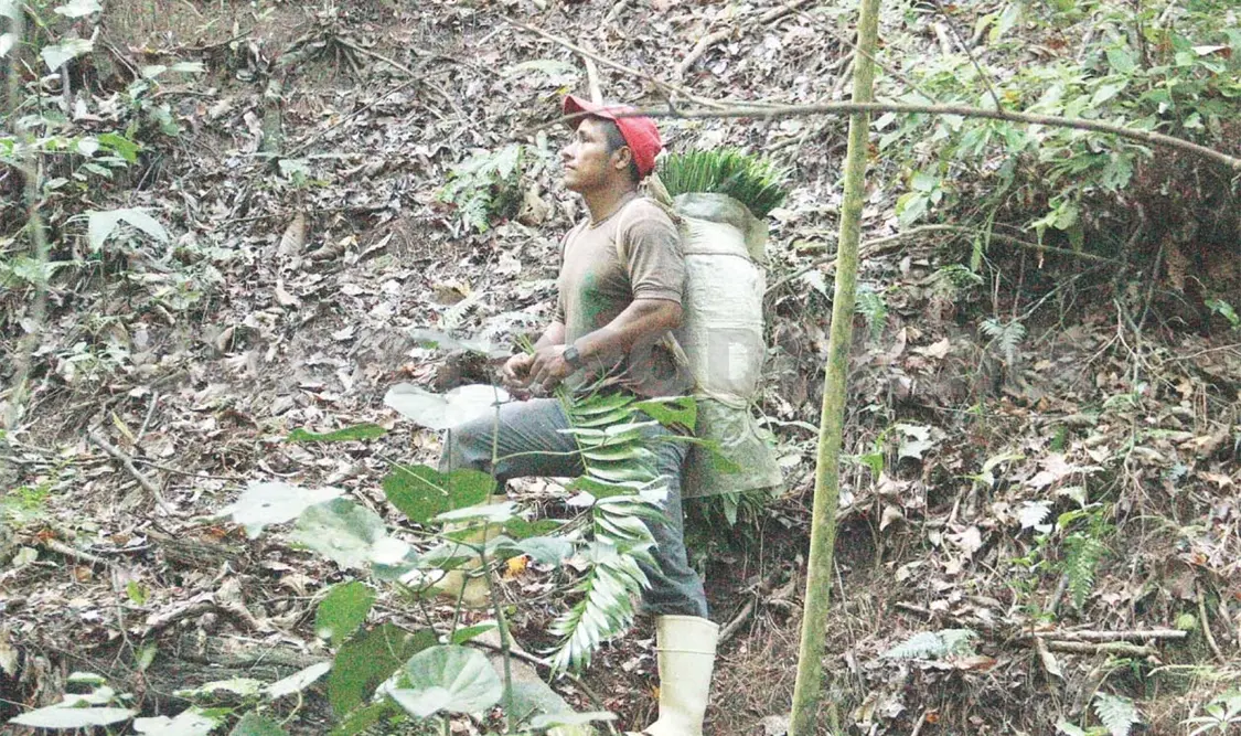 Un negocio de exportación