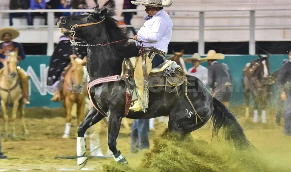 Nuevo calador para la Charrería chiapaneca
