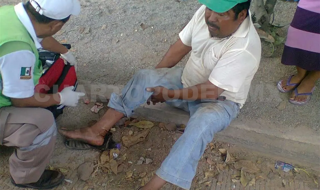 Ataques de perros a la alza