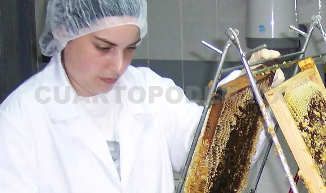 Buscan aumentar la producción de miel. CP