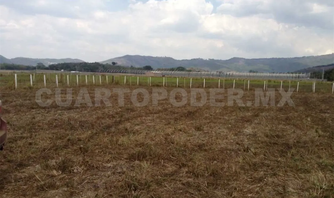 Atiende Sedatu 14 mil solicitudes de tierras