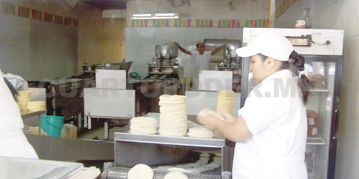 Tortilla subirá de 10 a 15 pesos el kilogramo