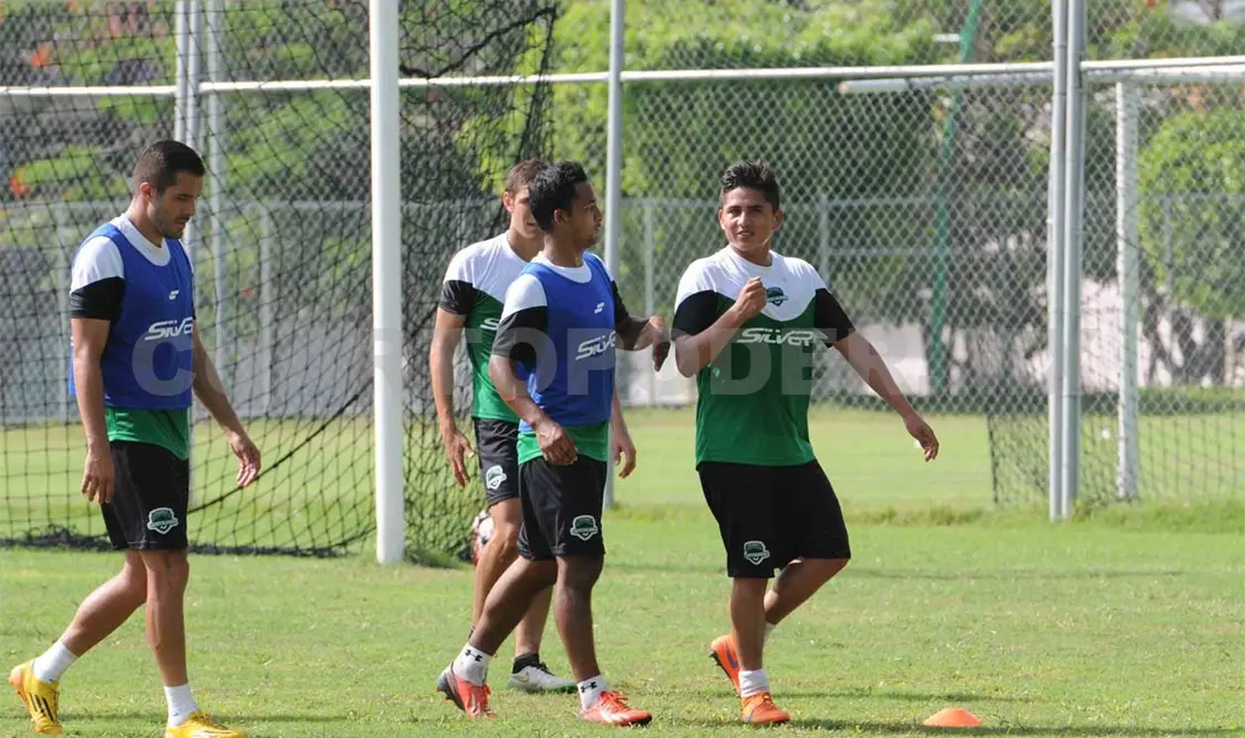 Equipo felino ya está completo