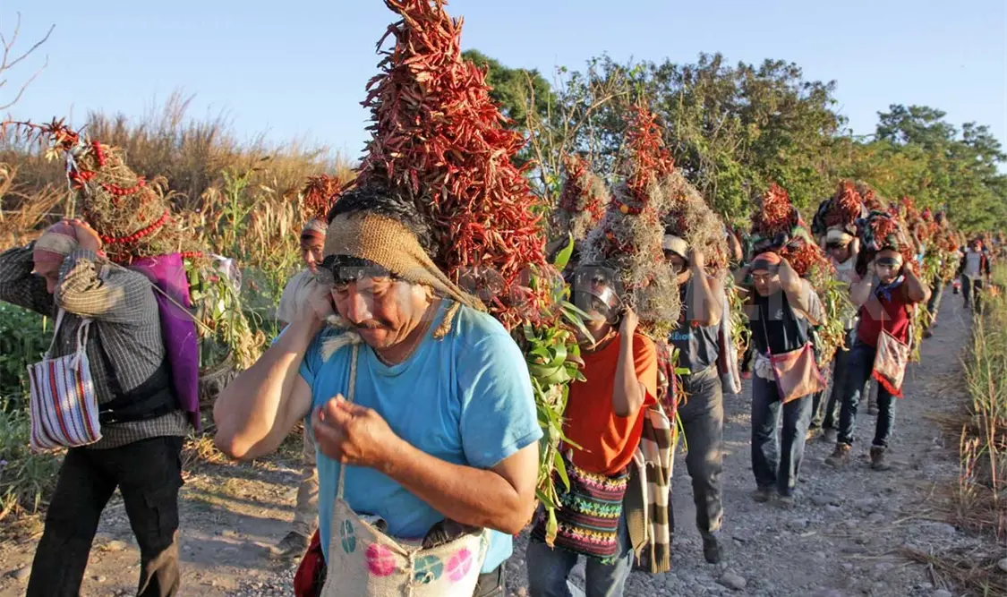 Los recolectores de la flor de Niluyarilu