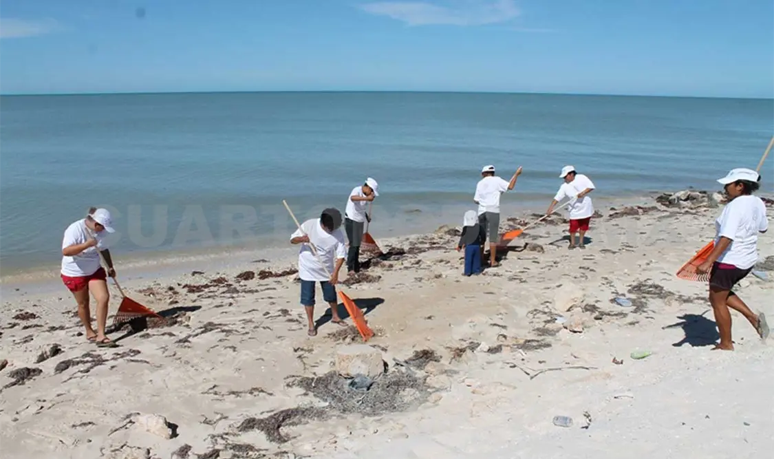 Damas limpian playa