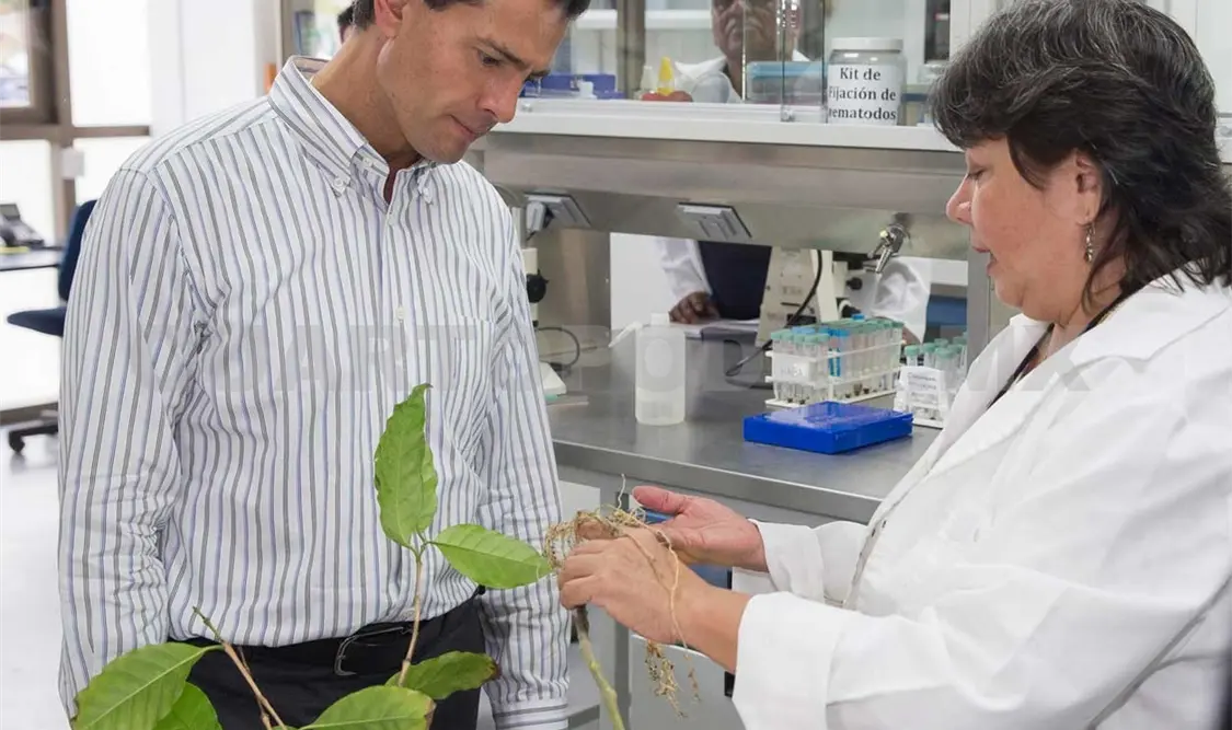 En el lugar 10 está la inauguración del Clúster Científico y Tecnológico Biomimic (Veracruz), con una inversión de 500 mdp.