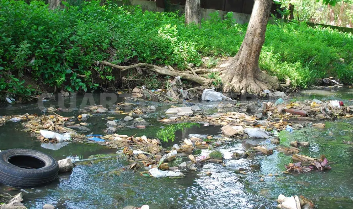 Un solo litro de aceite contamina hasta mil litros de agua, lo cual impacta de manera severa en los ecosistemas.