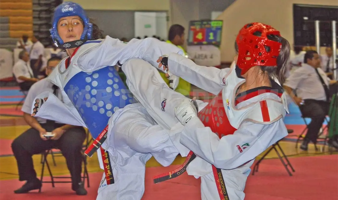 Panamericano con buen balance al cierre del 2015