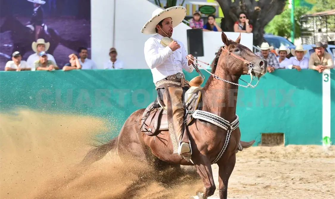 San Rafael cierra año con varios laureles