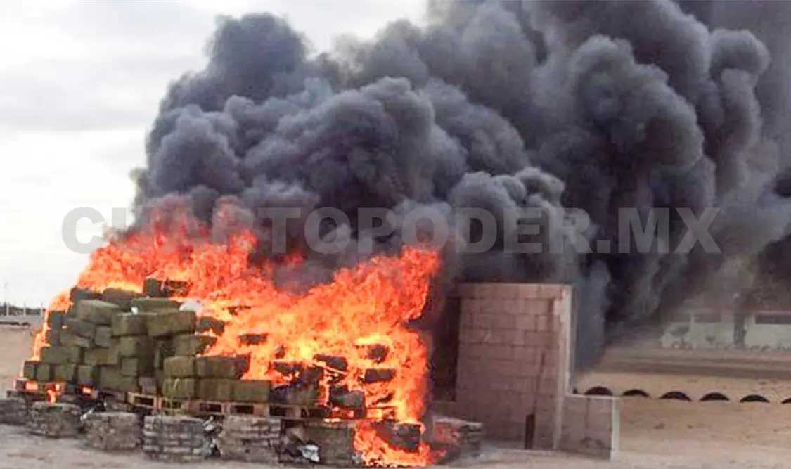 PGR: arrestos, decomisos y el nuevo sistema