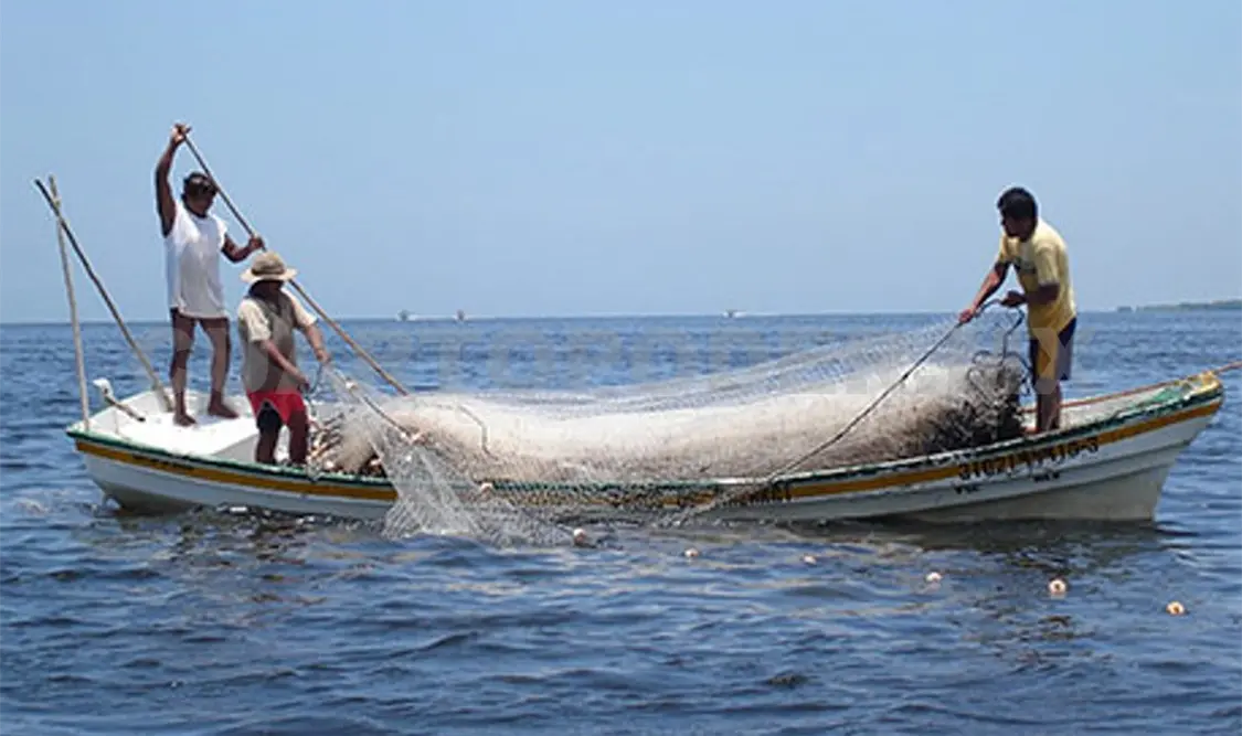 Los hombres de mar zarpan en busca de ingresos para su familia. Cortesía