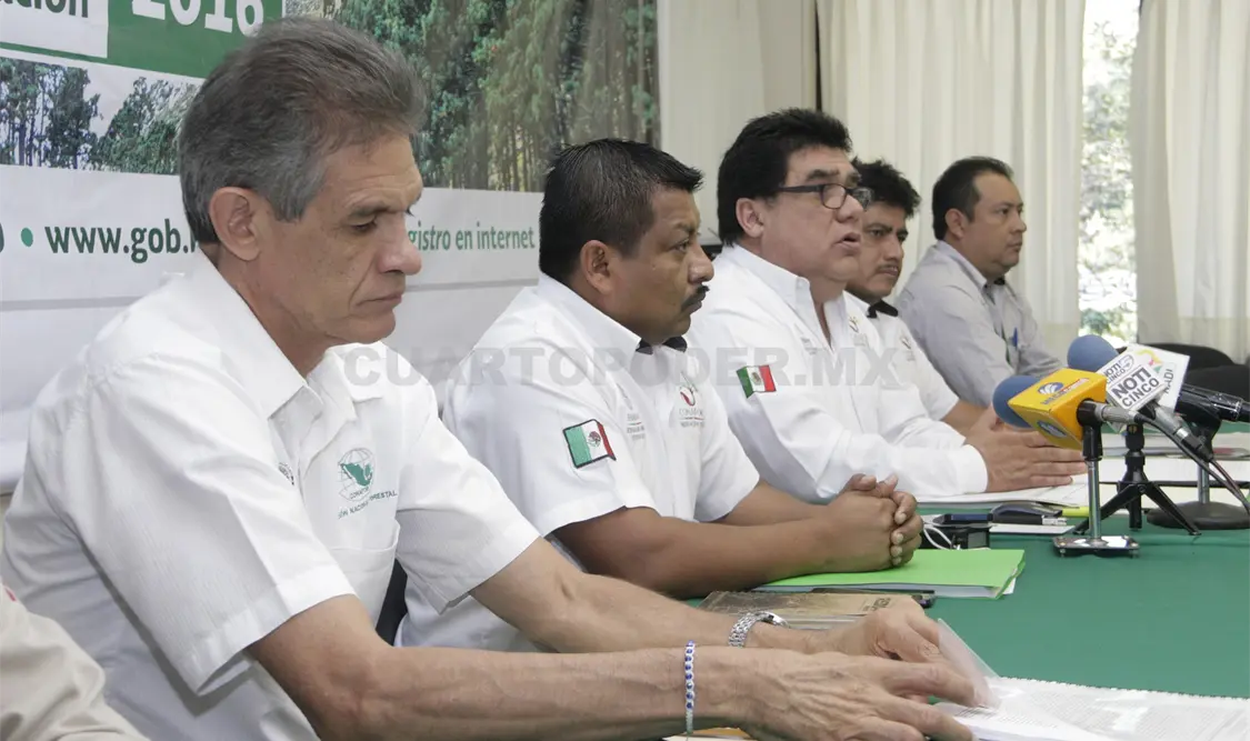 Las reglas de operación Pronafor 2016 fueron dadas a conocer en Chiapas el pasado 8 de enero. Guillermo Ramos / CP.