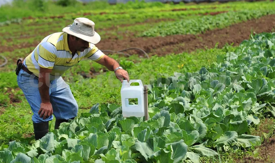 Destacan beneficios para los productores