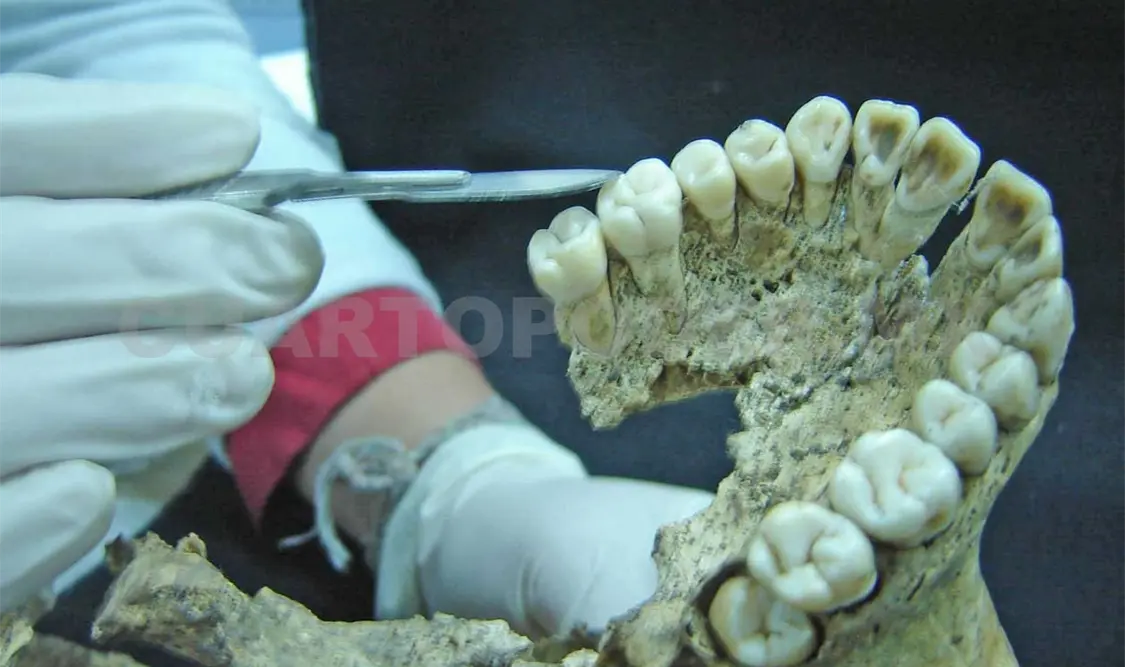 Templo Mayor revela nuevos conocimientos