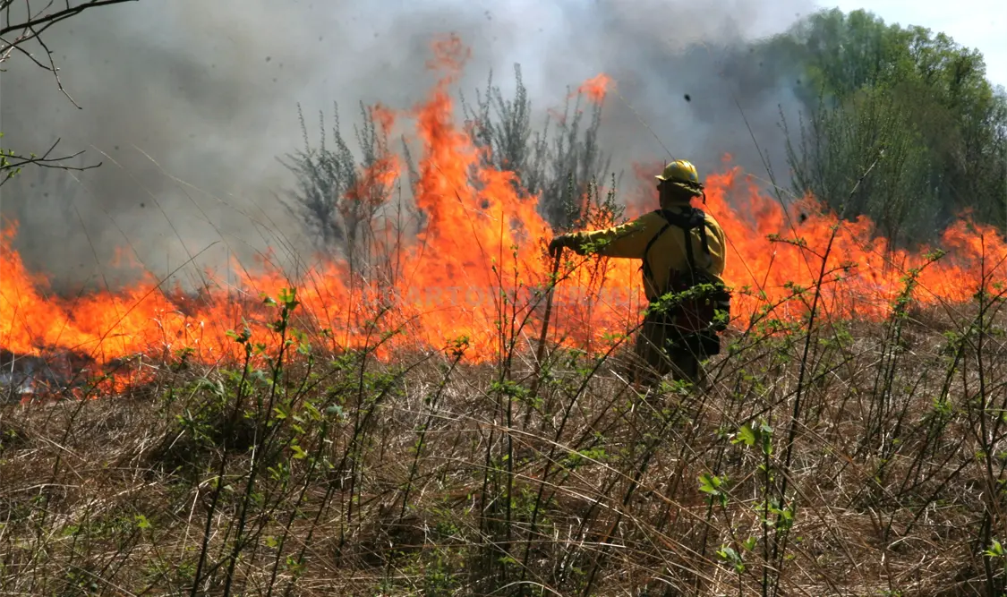 La próxima semana autoridades de PC darán a conocer a detalle las acciones para la temporada de incendios * CP.
