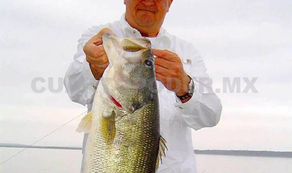 Presentan calendario de Pesca Deportiva 2016