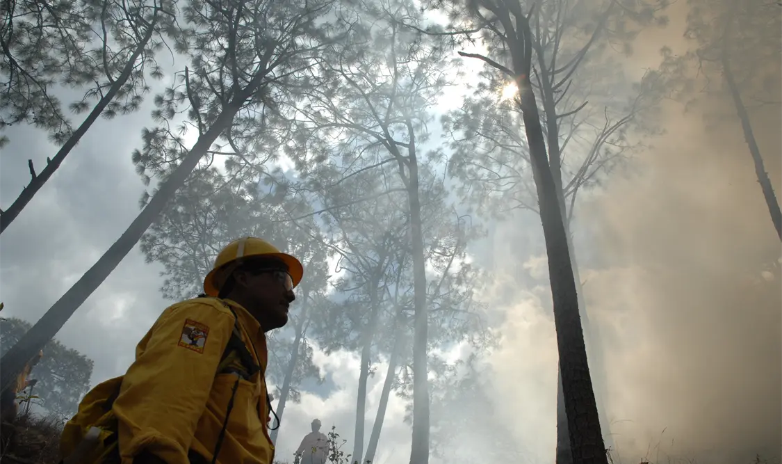 A nivel nacional los incendios disminuyeron un 28.47 por ciento durante 2015. Cortesía