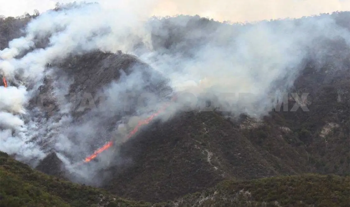 Buscan combatir incendios en la región. Cortesía