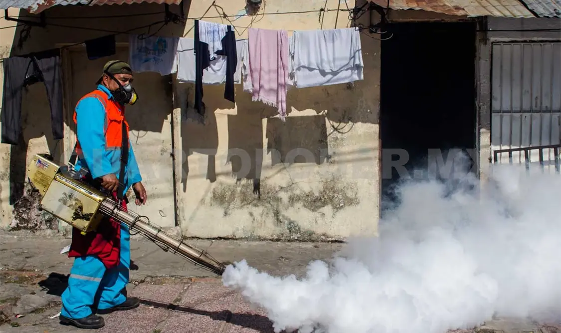 El Ministerio de Salud brasileño advirtió que se deberá combatir limitando la acción del mosquito, a la espera de una vacuna. AP