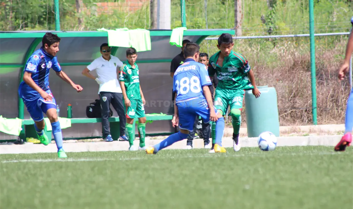 Tijuana es el actual campeón pero no ha arrancado de buena manera el torneo. Alejandro Aguilar / CP