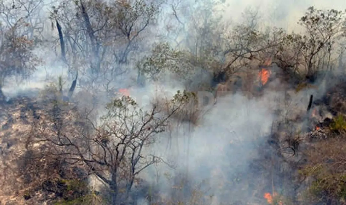 Los incendios forestales pueden tener consecuencias para quienes estén involucrados en su creación. Cortesía