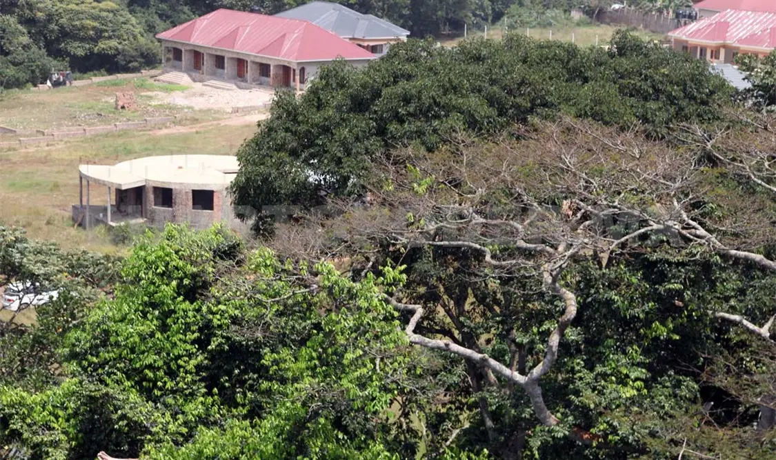 Hace casi siete décadas, en estos bosques, científicos descubrieron el virus que hoy tiene en alerta a gran parte de América Latina.
