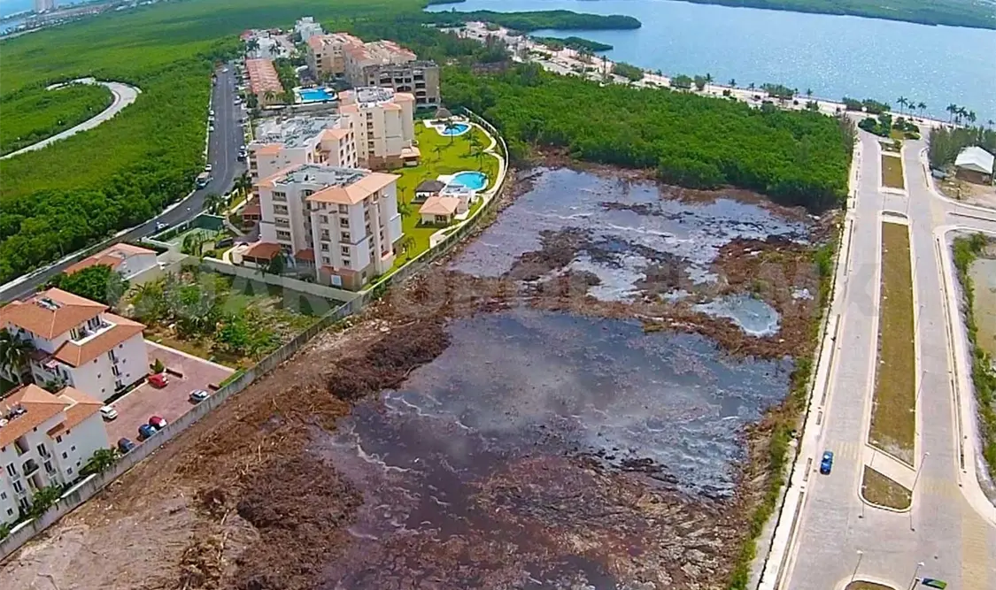El manglar de Tajamar se ubicaba frente a la Laguna Nichupté. CP