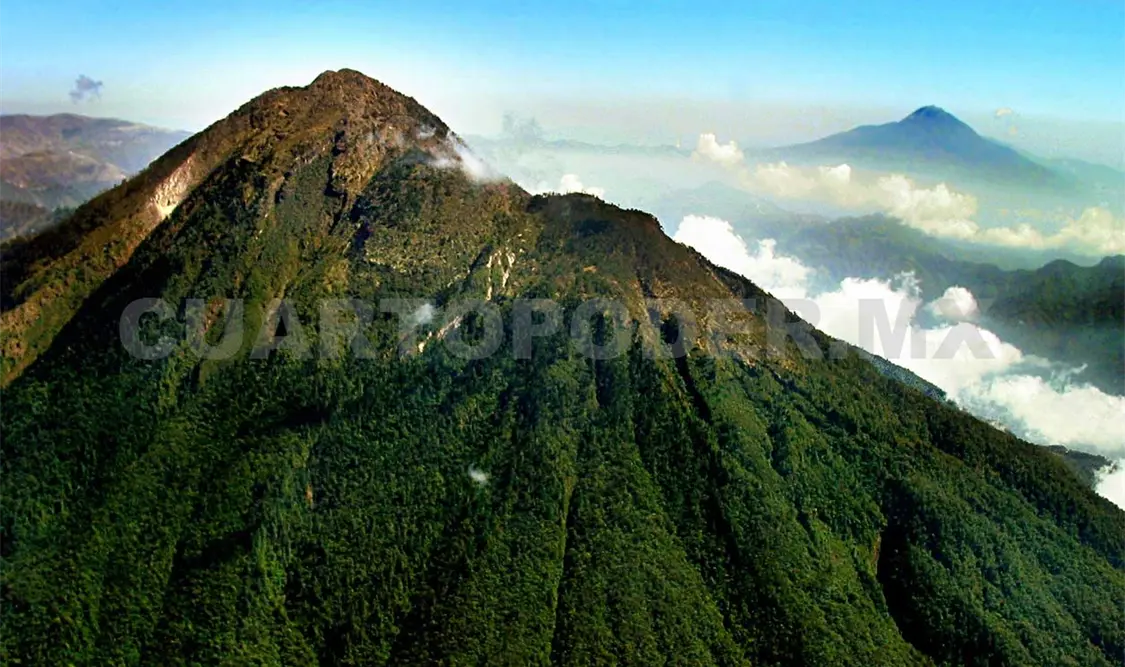En la reserva del volcán se encuentran siembras de maíz criollo producido en la parte alta del Tacaná. Cortesía