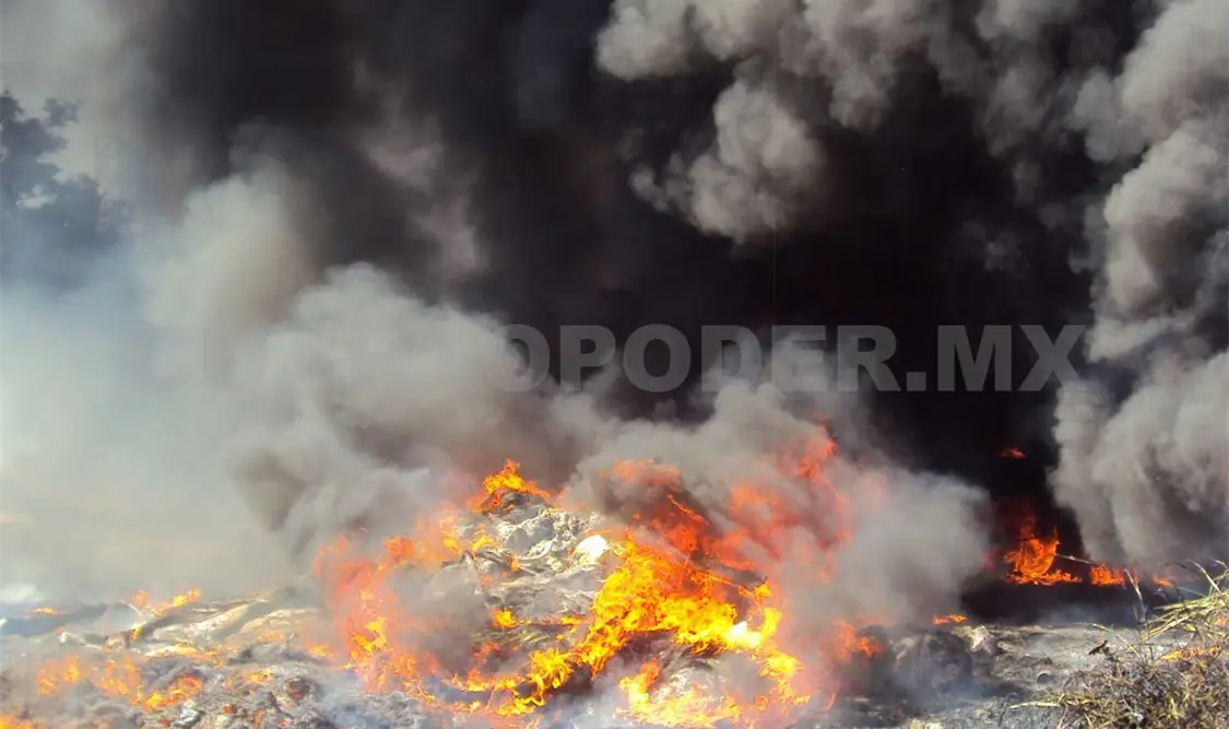 El humo alcanzó varios metros de altura. Carlos Burguete / CP