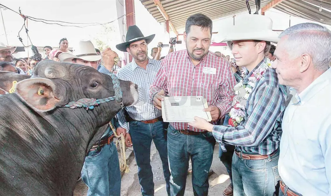 MVC entregó insumos y ganado en Cintalapa