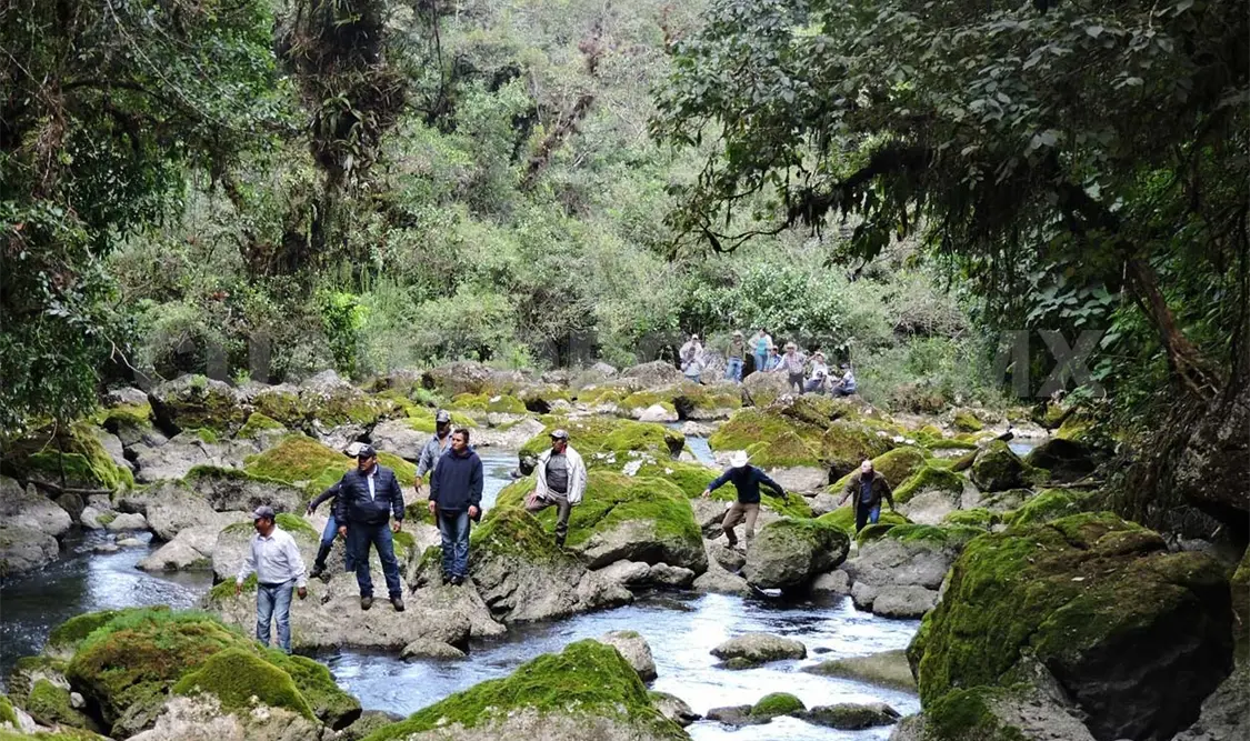 Solicitan la creación de un nuevo centro ecoturístico