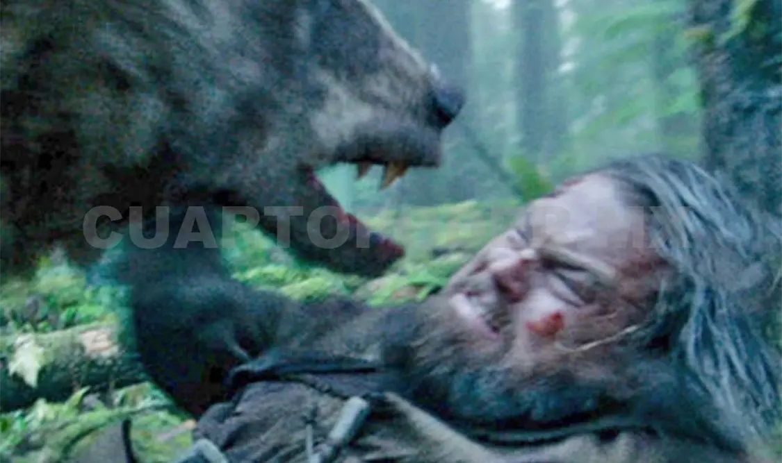 Premian a The Revenant por la escena del oso