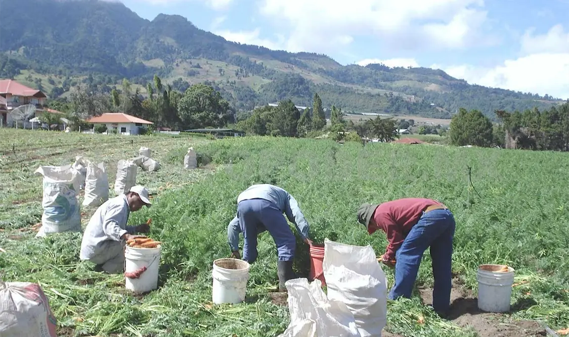 Otorgan financiamiento a productores